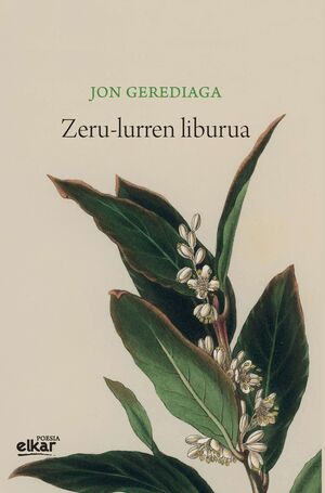 ZERU-LURREN LIBURUA (IRUN HIRIA POESIA 2023)