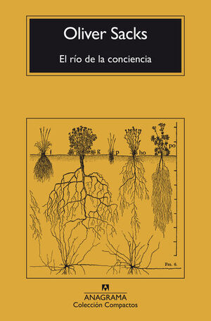 RÍO DE LA CONCIENCIA, EL - CM