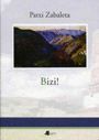 BIZI!
