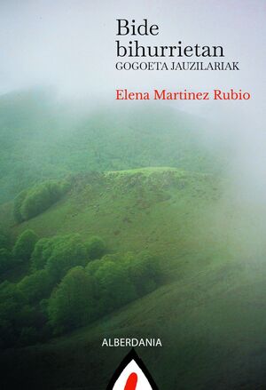 BIDE BIHURRIETAN